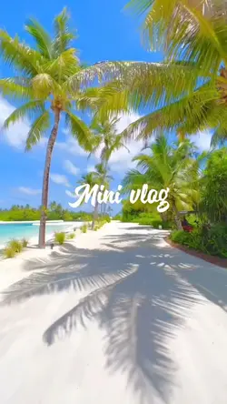 Mini vlog 