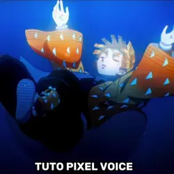 PIXEL VOICE TUTO