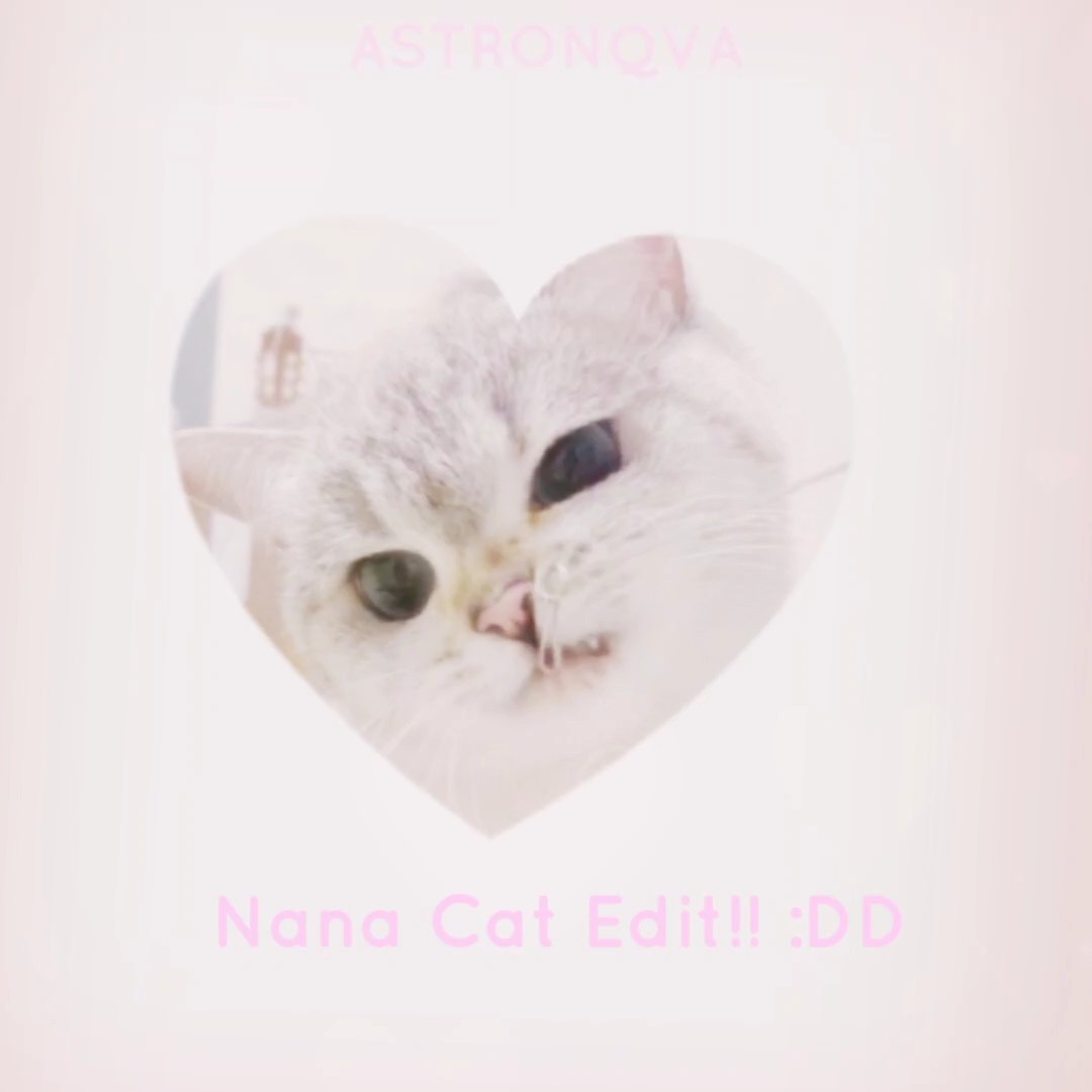 Nana Cat Editar!