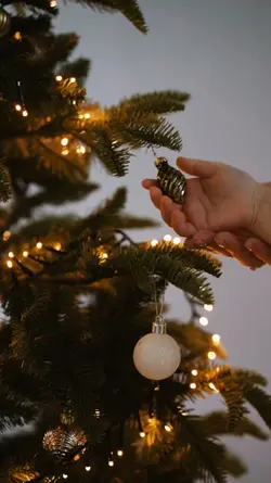 Natal 