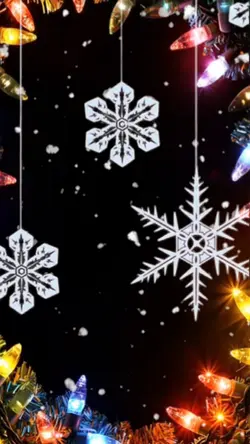 Snowflake carousel L