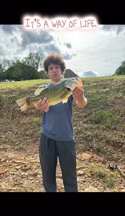 Insane fishing edit🔥