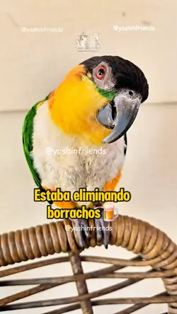 Eliminando borrachos