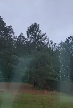 Rainy Daze