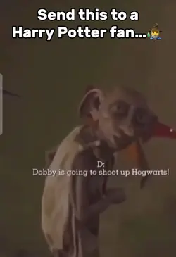 Harry Potte