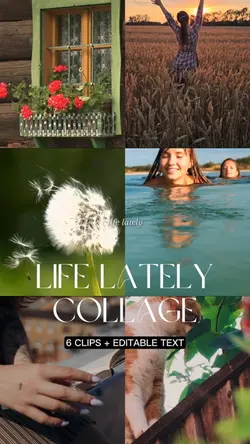 life lately /6 clips