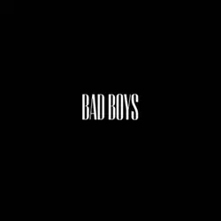 BAD BOYS🗣️