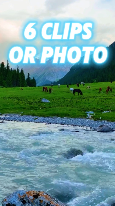 6 clips or photo 