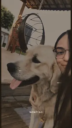 memórias/momentos ❤️‍🩹