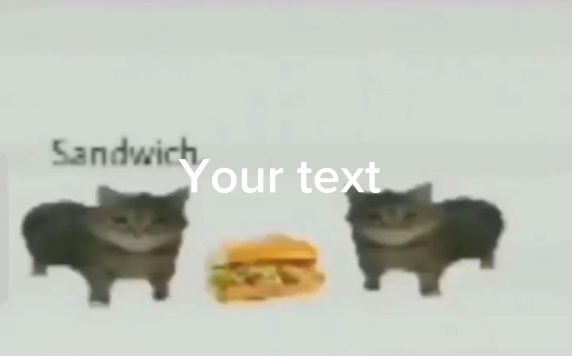 Sanduíche 