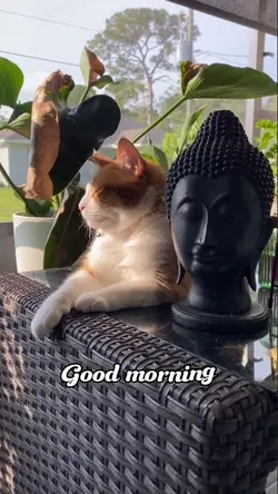 Good morning lullaby