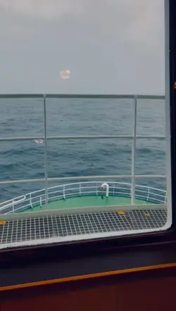 scary sea