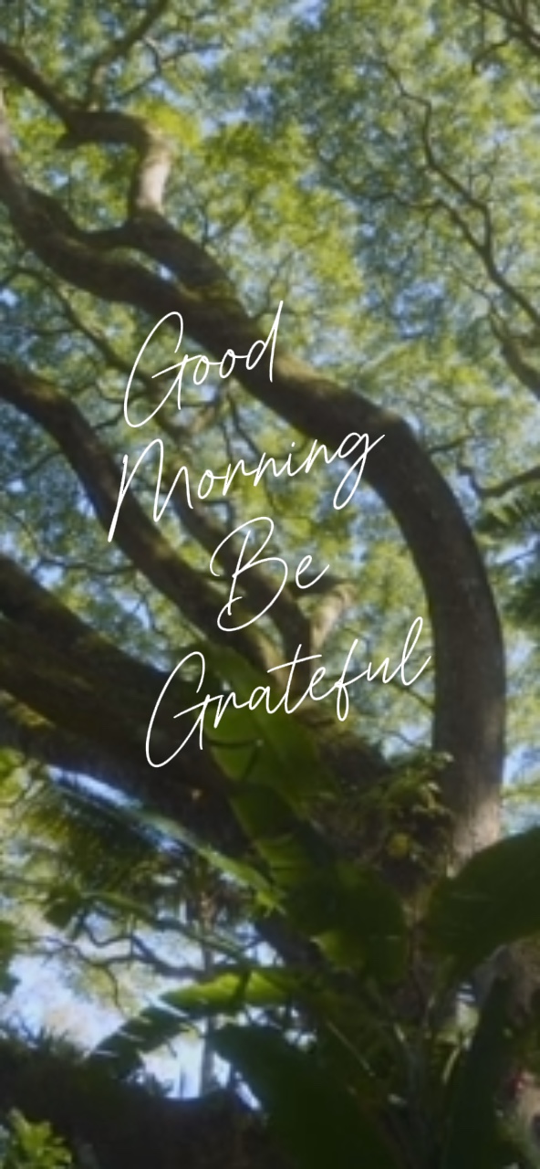 Good Morning 🙏