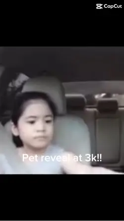 Pet reveal at 3k