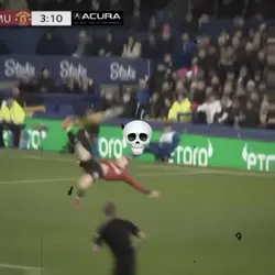 freeze template ☠️