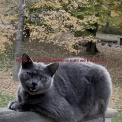 Merrily we fall >.<