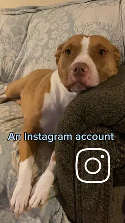 Instagram Account❤️