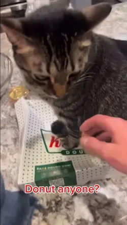 Donut anyone?
