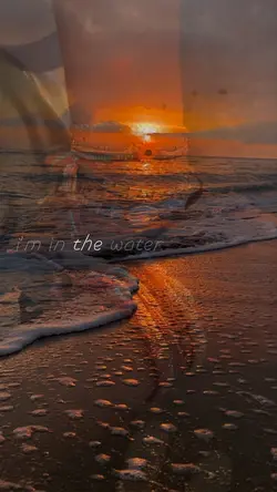 Transparency trend 🔓