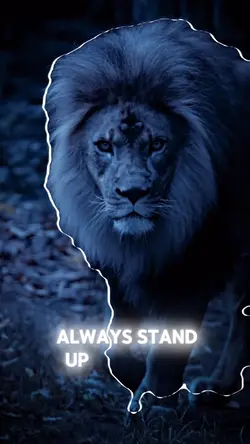 Always stand up