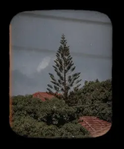 frame vintage 
