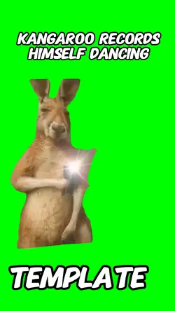 Kangaroo 