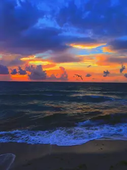 Sky Filter