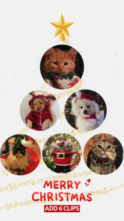 Christmas tree 🎄⭐️