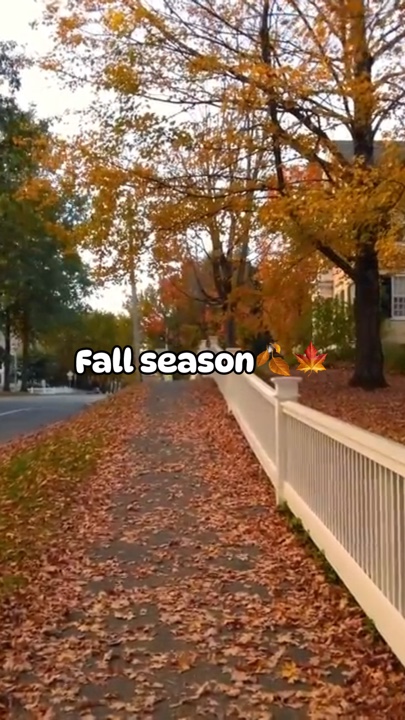 Fall season 🍁🍂