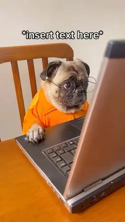 Dog with Laptop 