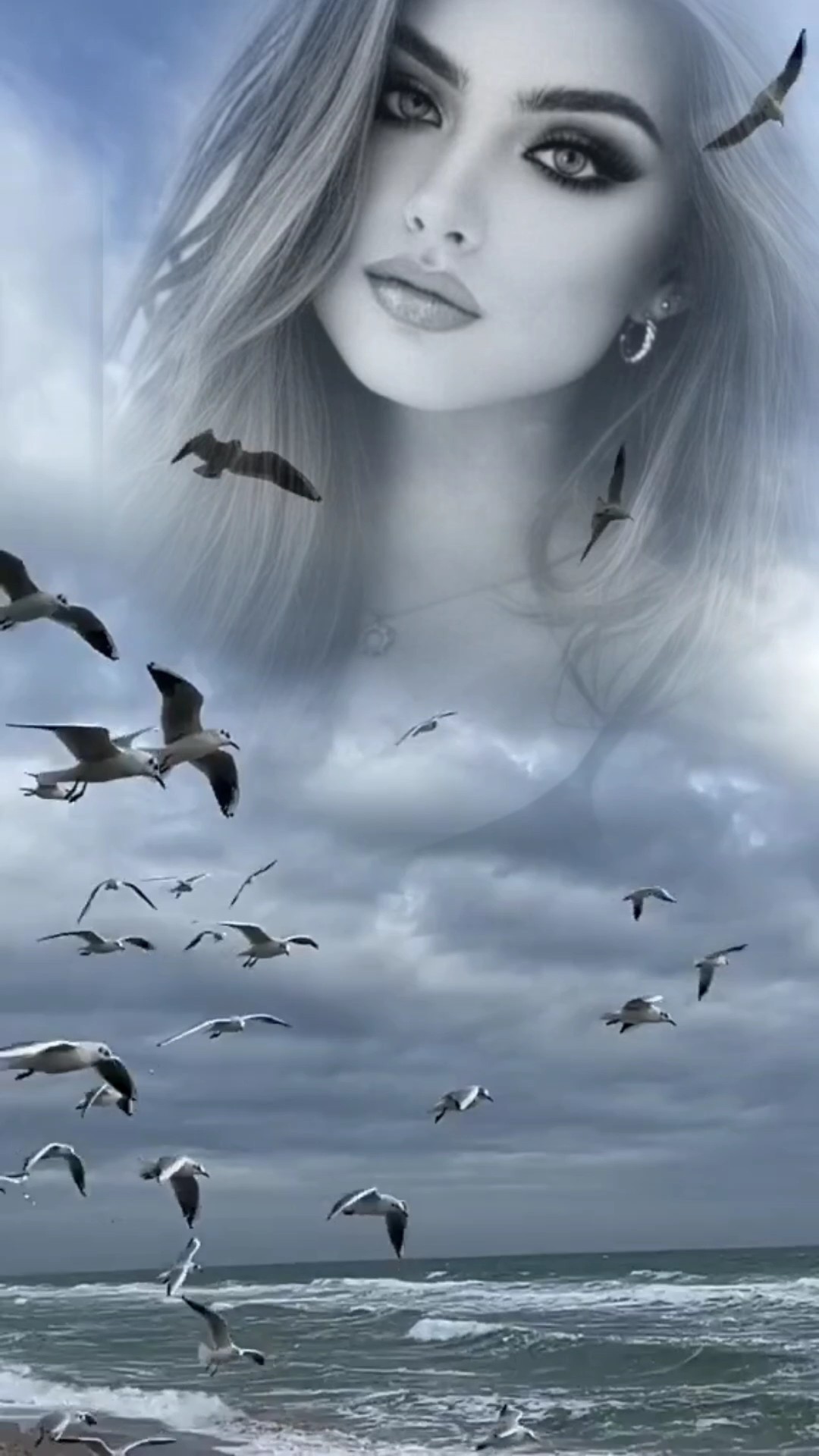 Aves
