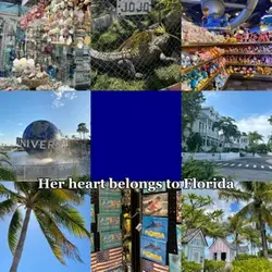 Belongs to Florida 🐊