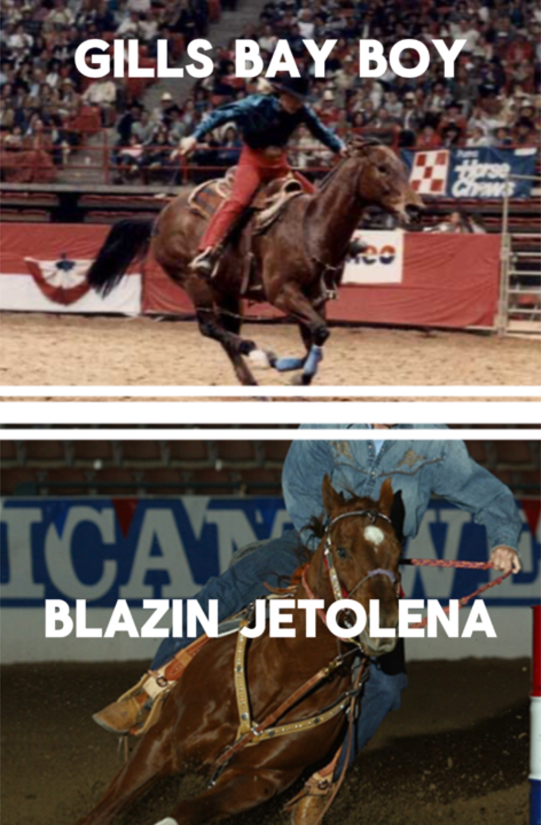 The barrel racing 1