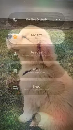 TREND CUTE ❤️‍🩹