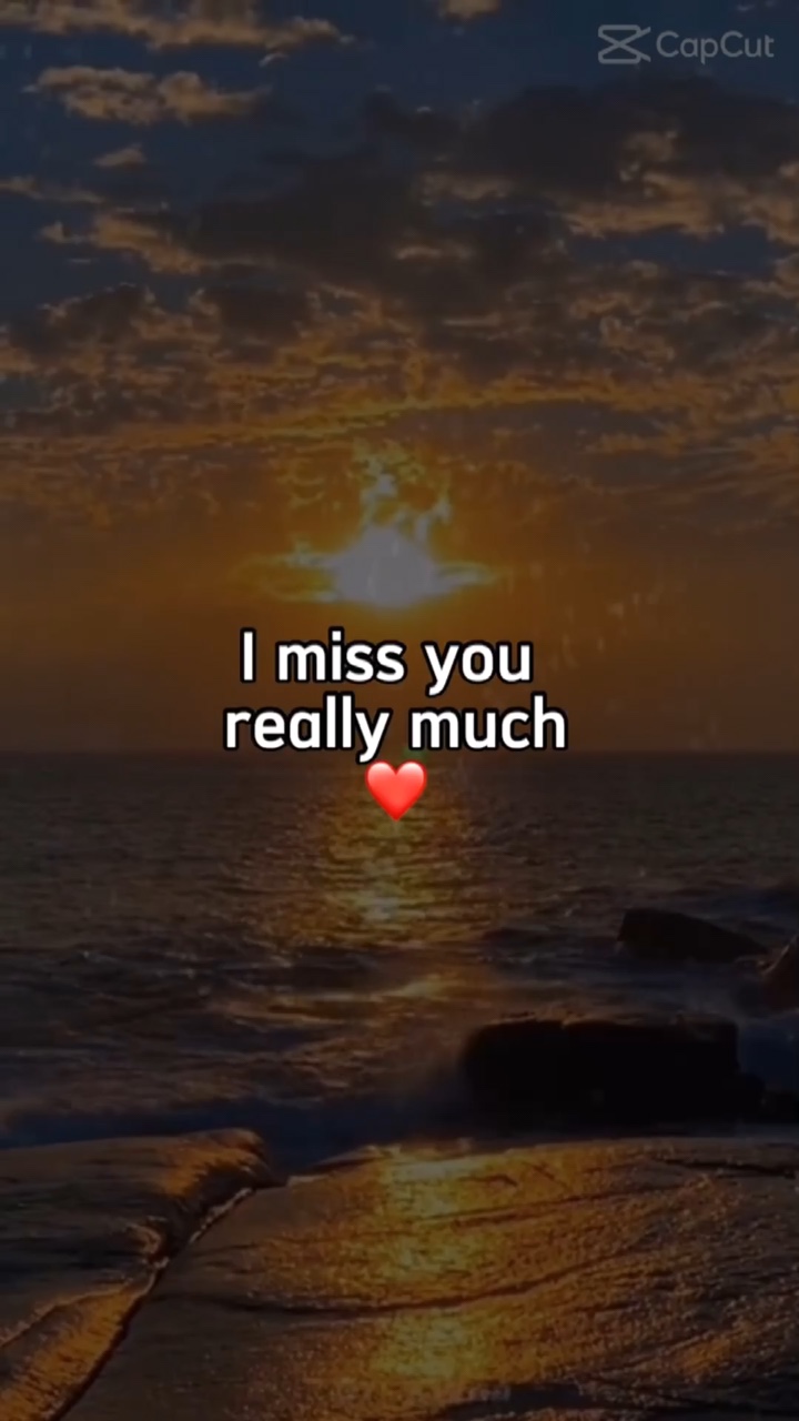 I Miss You 💔🌏