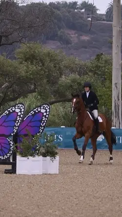 ⚠️not real⚠️