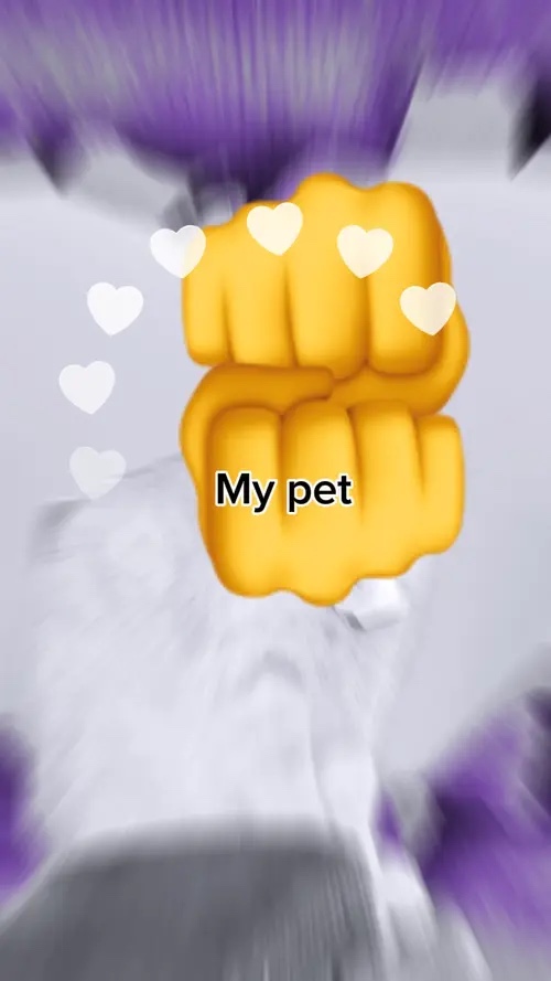 Animais de estimação 