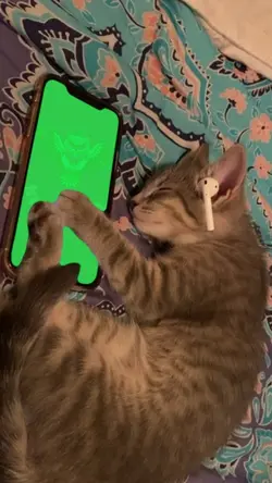 Sleepy vibes 