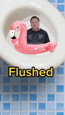Down the Toilet