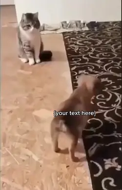 Funny