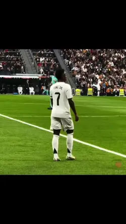 vinijr