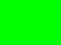 Gun shooting templat