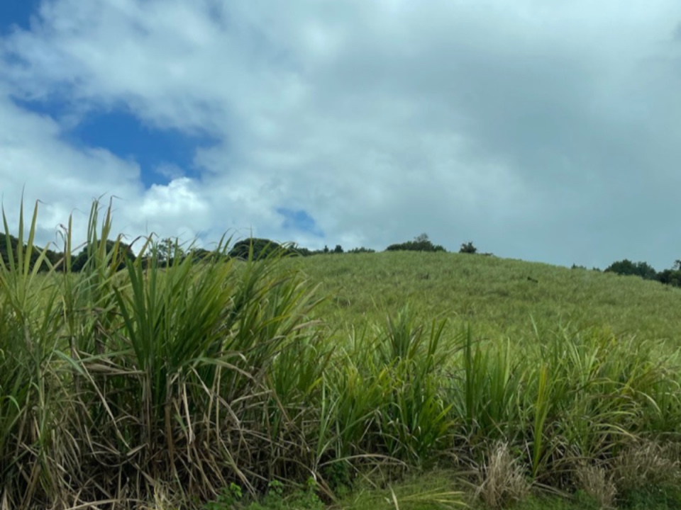 S o noah é yag 😔👍