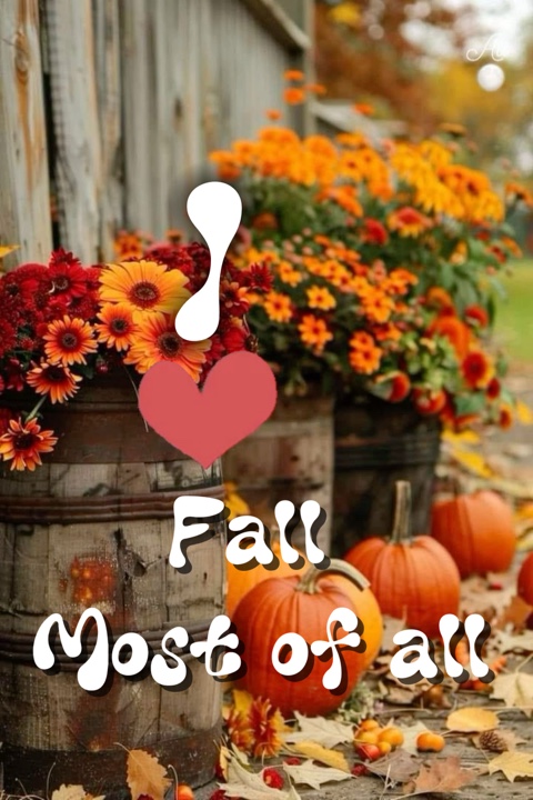 Best fall photos🎃🍁🍂