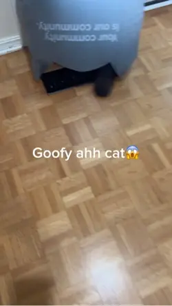 Goofy ahh cat😱