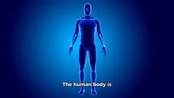 Human Body