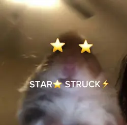 STAR STRUCK⭐️⚡️