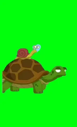 turtle snail