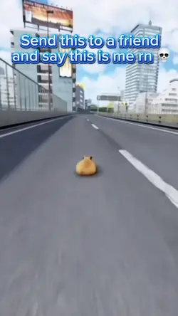 Capybara