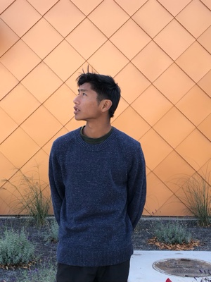 Cover Picture